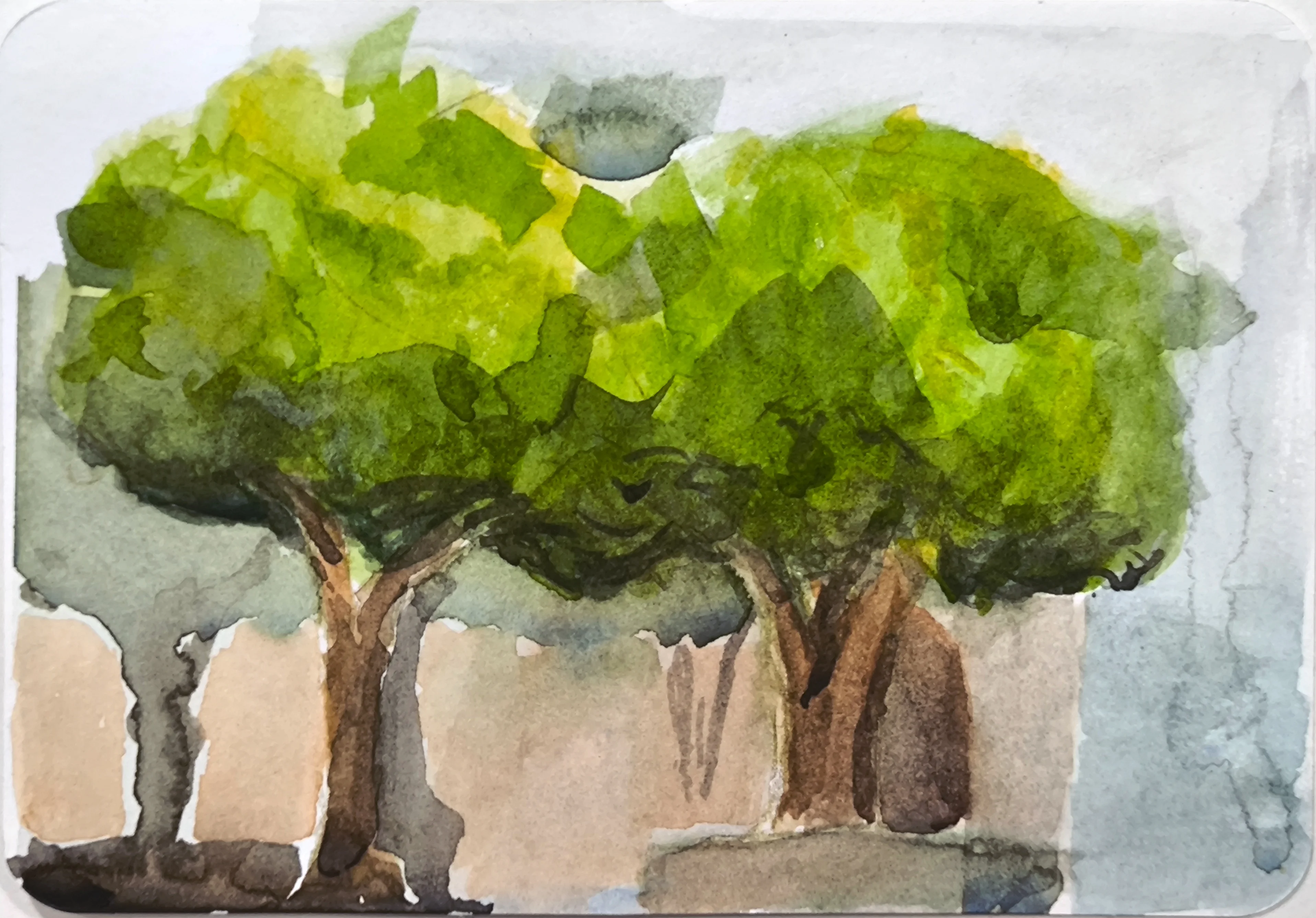 Small watercolor study of two trees with wide, bright green canopies and brown trunks. The background is soft gray and blue washes, with a simple ground shape at the bottom.